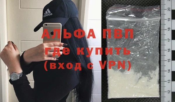 сатива Баксан